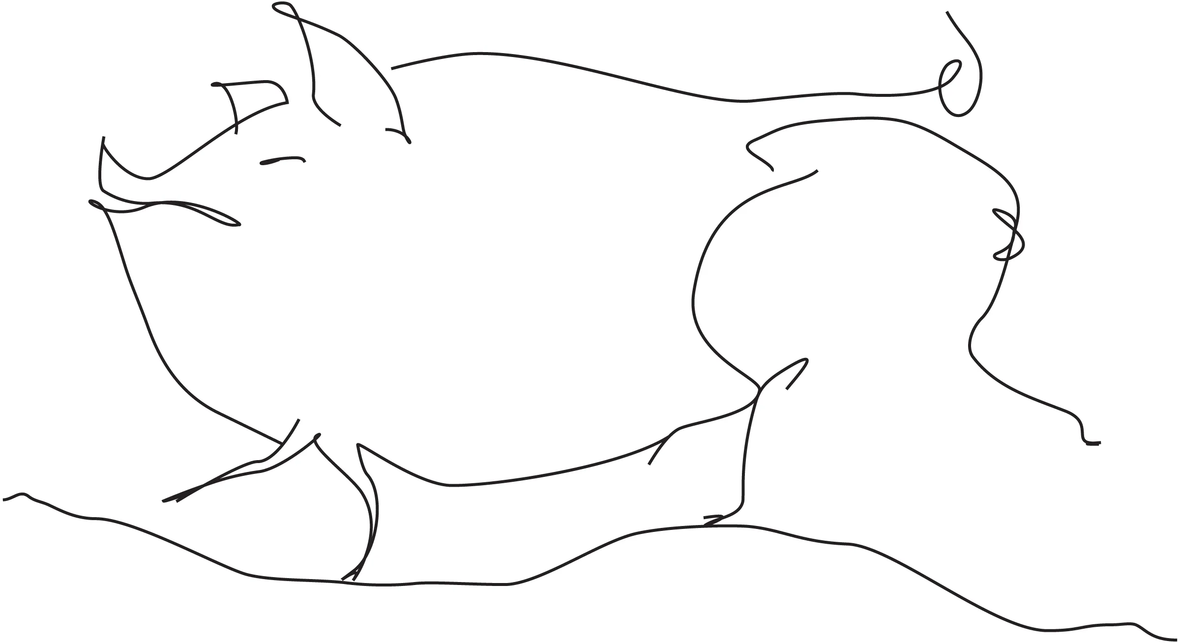 Pig drawing (transparent)